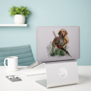 Vizsla  , Art 
