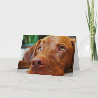 VIZSLA - blank card