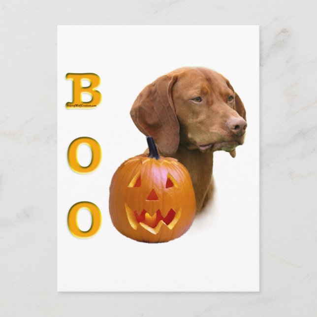 Vizsla Boo Postcard (Front)