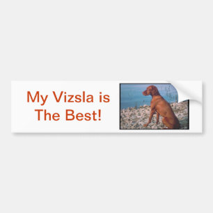 Vizsla Bumper Sticker