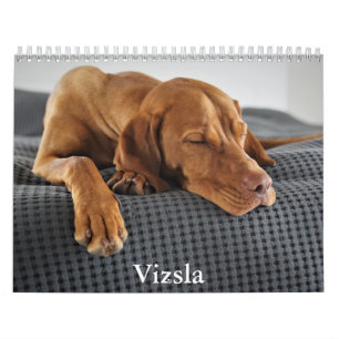 Vizsla Calendar