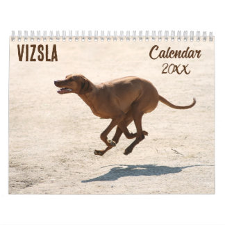 Vizsla calendar 2026