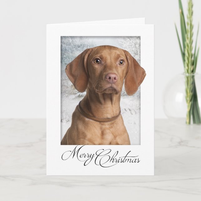 Vizsla Christmas Card (Front)