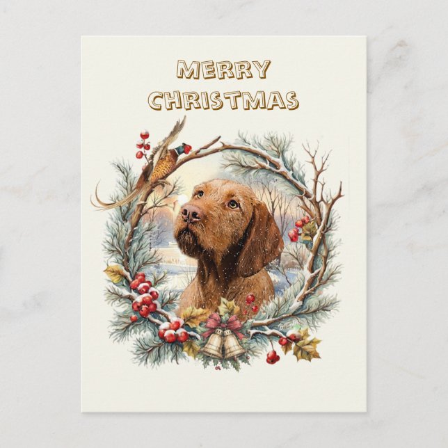 Vizsla Christmas  Postcard (Front)