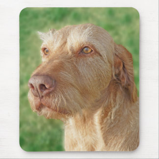 Vizsla Create Your Own Custom Pet Photo Mousepad