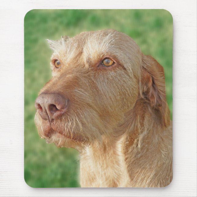 Vizsla Create Your Own Custom Pet Photo Mousepad (Front)