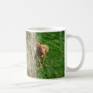 Vizsla Cup