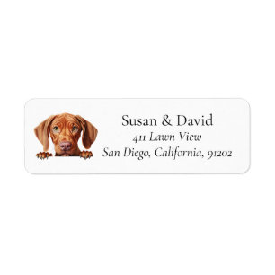 Vizsla Dog Breed Pet Lovers