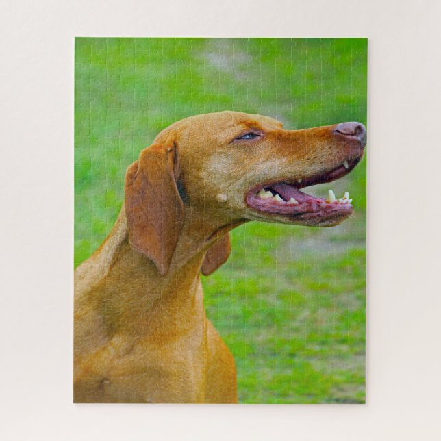 Vizsla Dog Jigsaws. Jigsaw Puzzle (Vertical)