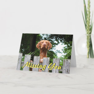 Vizsla dog "Missing You" card