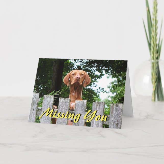 Vizsla dog "Missing You" card (Front)