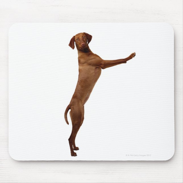 Vizsla Dog Mouse Pad (Front)