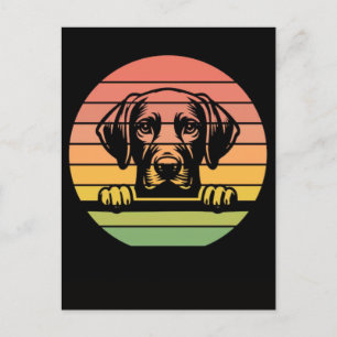 Vizsla dog peeking sunset vintage retro dog lover holiday postcard