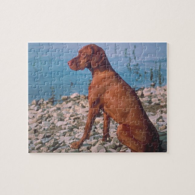 Vizsla Dog Puzzle (Horizontal)