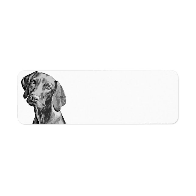 Vizsla Drawing (Front)