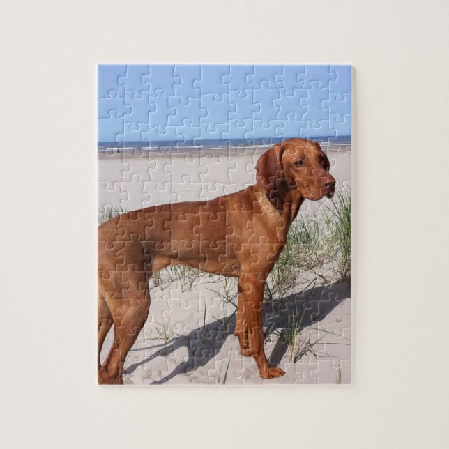 vizsla full jigsaw puzzle (Vertical)