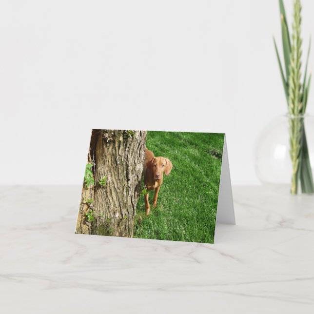 Vizsla Greeting Cards (Front)