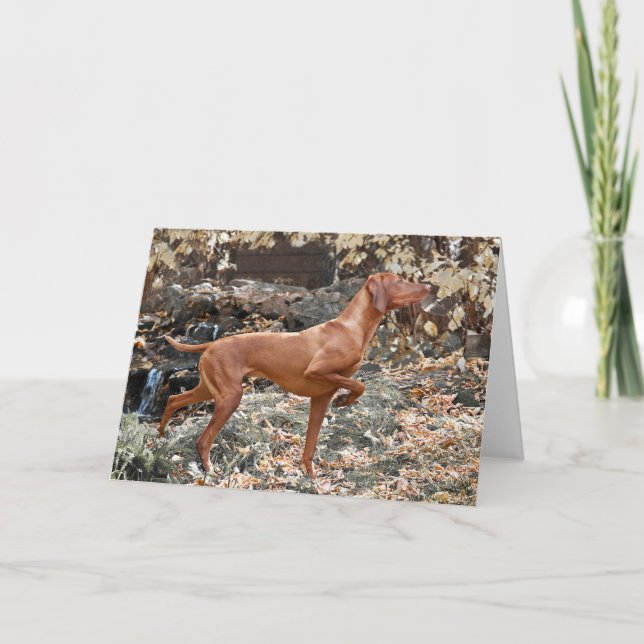 Vizsla Greeting Cards (Front)