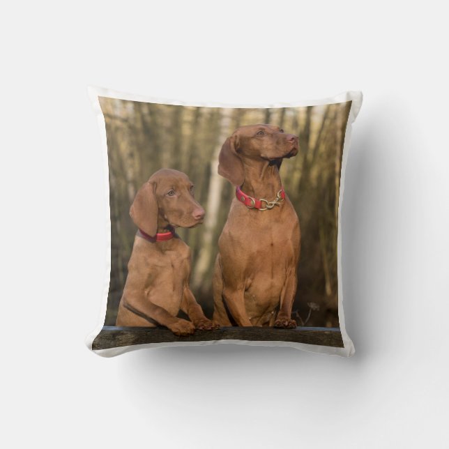 vizsla group cushion (Front)