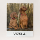 vizsla group