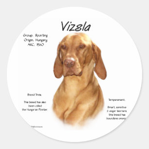 Vizsla History Design Classic Round Sticker