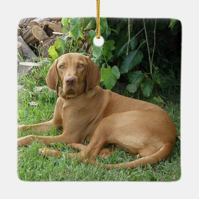 Vizsla Hound Dog Ceramic Ornament (Back)