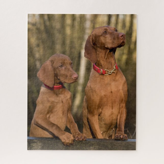 Vizsla Hound Dogs Jigsaw Puzzle (Vertical)