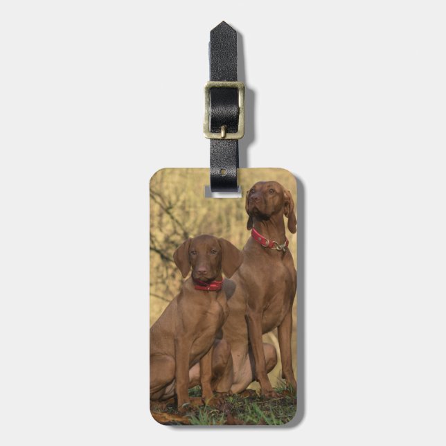 Vizsla Hound Dogs Luggage Tag (Front Vertical)