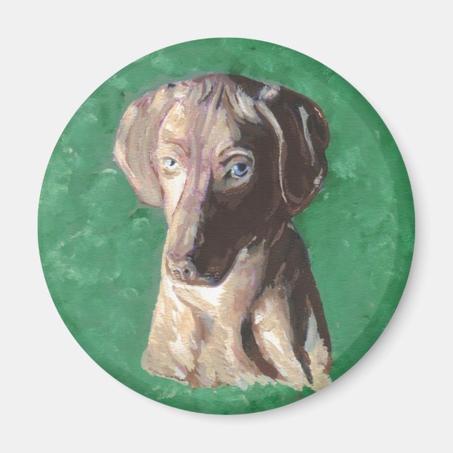Vizsla, Hungarian Pointer Magnet (Front)