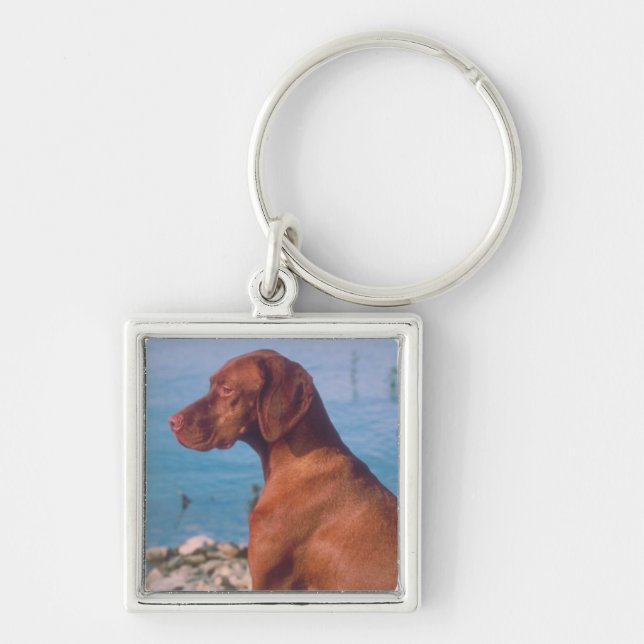 Vizsla Key Ring (Front)