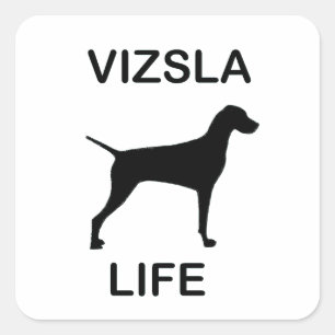 vizsla life square sticker