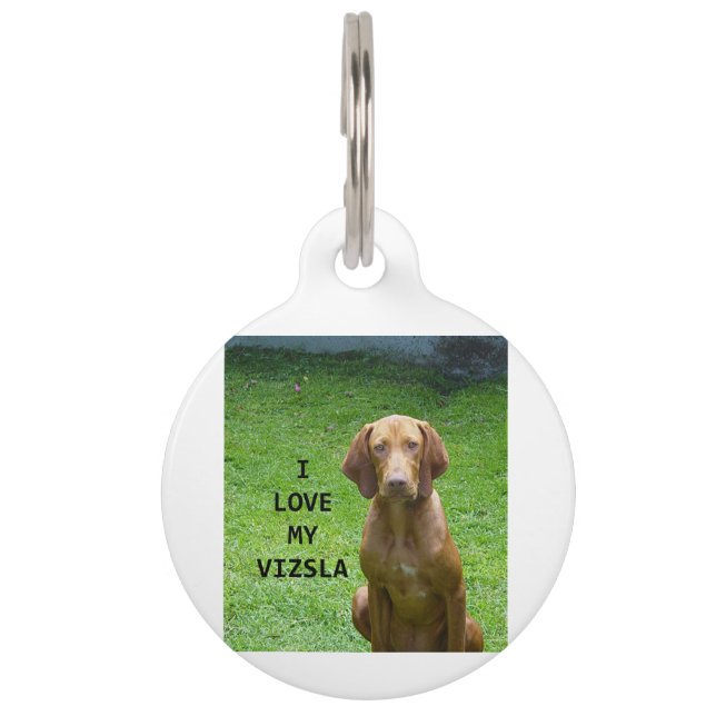 vizsla love w pic pet tag (Front)
