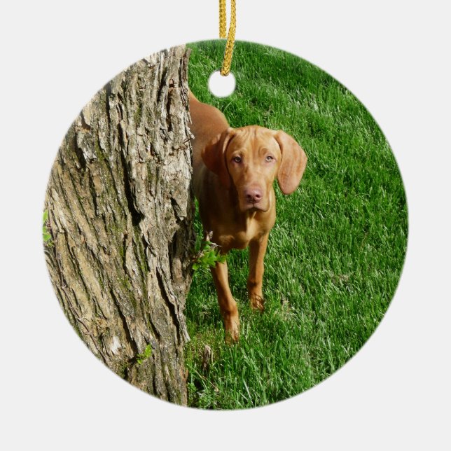 Vizsla Ornament (Front)
