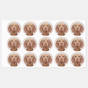 Vizsla Painting - Cute Original Dog Art