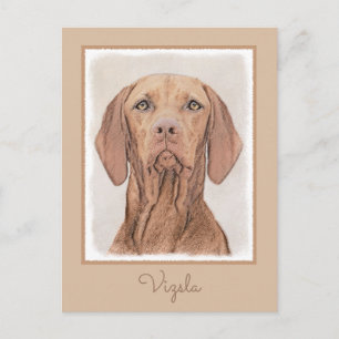 Vizsla Painting - Cute Original Dog Art Postcard