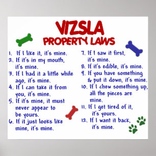 VIZSLA PL2 POSTER