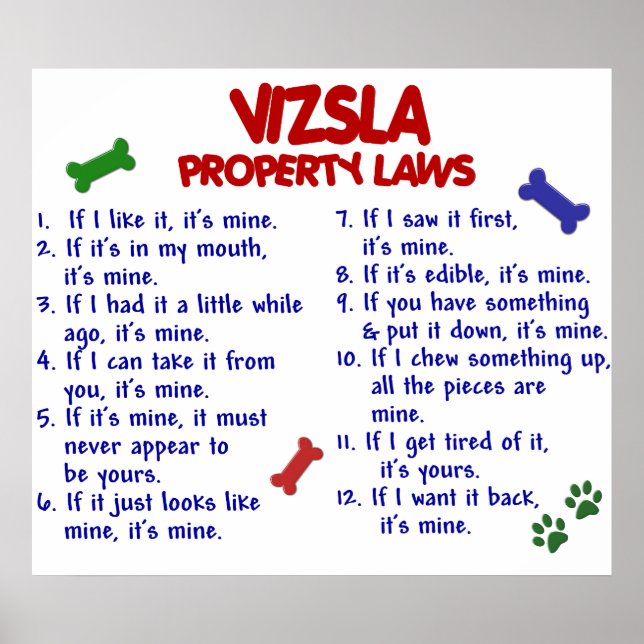 VIZSLA PL2 POSTER (Front)