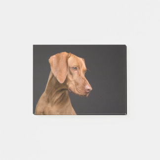 Vizsla Post-it Notes