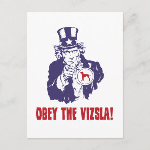 Vizsla Postcard