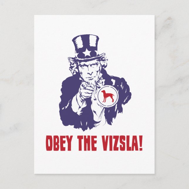 Vizsla Postcard (Front)