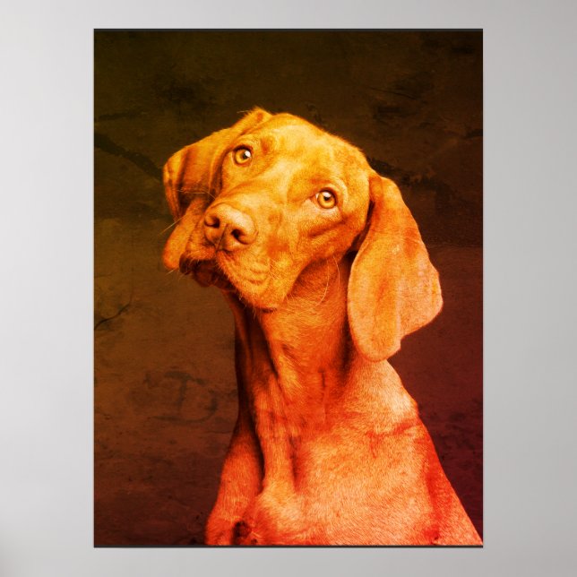 Vizsla Poster (Front)