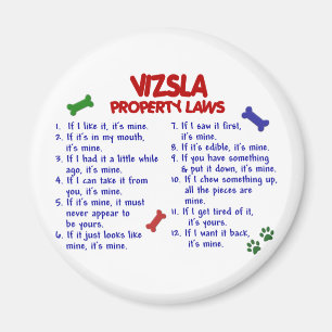 VIZSLA Property Laws 2 Magnet