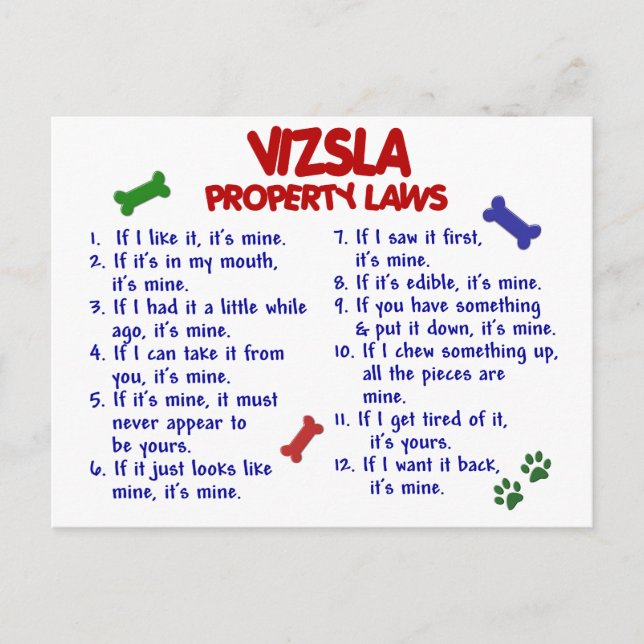 VIZSLA Property Laws 2 Postcard (Front)