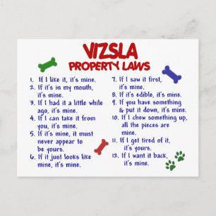 VIZSLA Property Laws 2 Postcard
