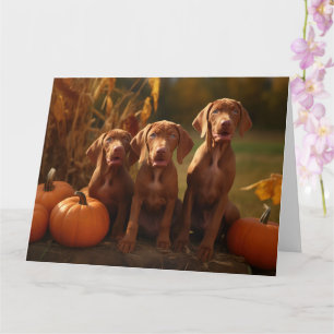 Vizsla Puppy Autumn Delight Pumpkin Card