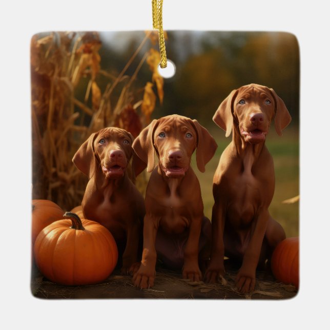 Vizsla Puppy Autumn Delight Pumpkin Ceramic Ornament (Front)