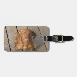 vizsla puppy luggage tag