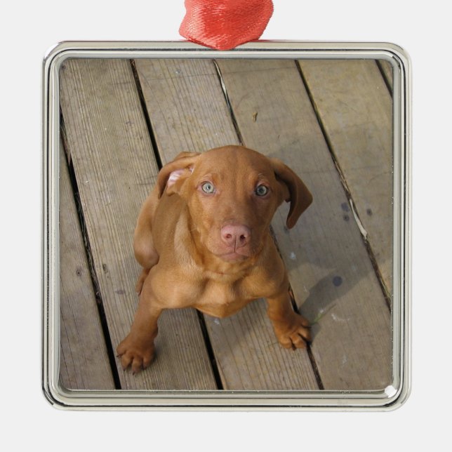 vizsla puppy metal tree decoration (Front)