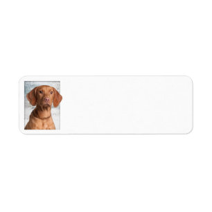 Vizsla Return Address Labels