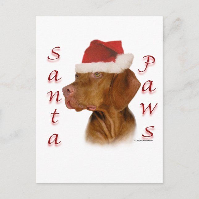 Vizsla Santa Paws Holiday Postcard (Front)